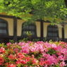 京都 新緑めぐり 2013　6