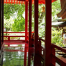 京都 新緑めぐり 2013　9