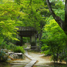 京都 新緑めぐり 2013　11