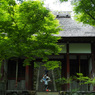 京都 新緑めぐり 2013　13