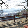 尾道猫49