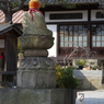 尾道猫50