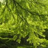 貴船神社