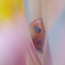 包まれて