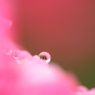 Water World