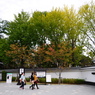 桜馬場
