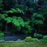 「箱庭　雨降る」