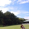 広野未奈130622-143645-葛西臨海公園DSC_1362_R