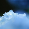 Planet BLUE 1