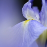 Planet BLUE 3