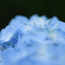 Planet BLUE 12