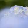 Planet BLUE 14