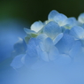 Planet BLUE 16