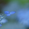 Planet BLUE 18