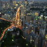 東京タワーから見た