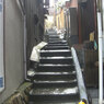 路地裏の階段