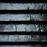 DPP_0059 (800x533)