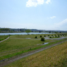 川と広場