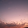 秋の空高く