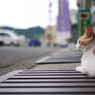 この町が・・・