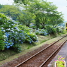あじさい駅