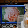 La Vie en Rose.2