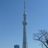 スカイツリー
