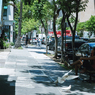 film camera snap