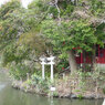 川と神社
