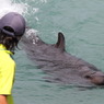 俺、クジラです。