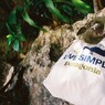 LIVE SIMPLY