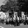 DS7_5283