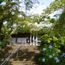 本土寺　本堂