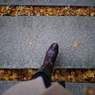 黄色紅葉へ一歩