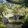 御池庭にかかる橋