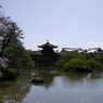 栖鳳池から見る風景
