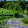 田舎