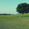 『国営越後丘陵公園』
