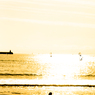 浜辺の記憶2012-2013DSC01599