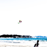 浜辺の記憶2012-2013DSC02424