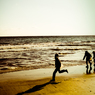 浜辺の記憶2012-2013DSC02510