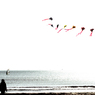 浜辺の記憶2012-2013DSC01216