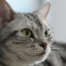 ん？