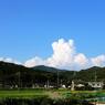 初夏凛々