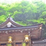 神社と森