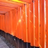 鳥居が続く道