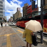#05 夏彩ストリート