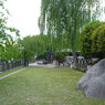 しだれた木のある公園