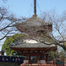 寺だか神社だか