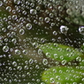 Water Display